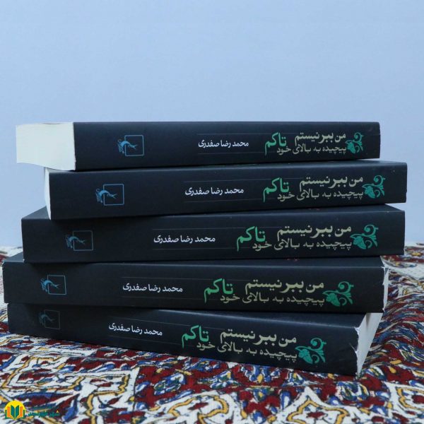 من ببر نیستم پیچیده به بالای خود تاکم (رمان) - Image 3